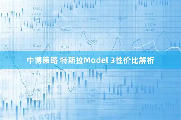 中博策略 特斯拉Model 3性价比解析